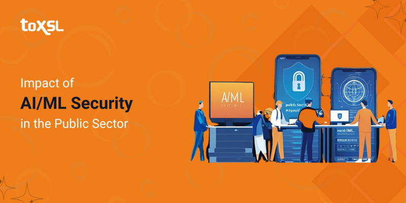 Impact of AI/ML Security in the Public Sector