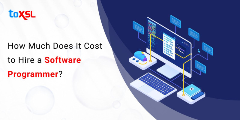 How Much Does It Cost to Hire a Software Programmer?