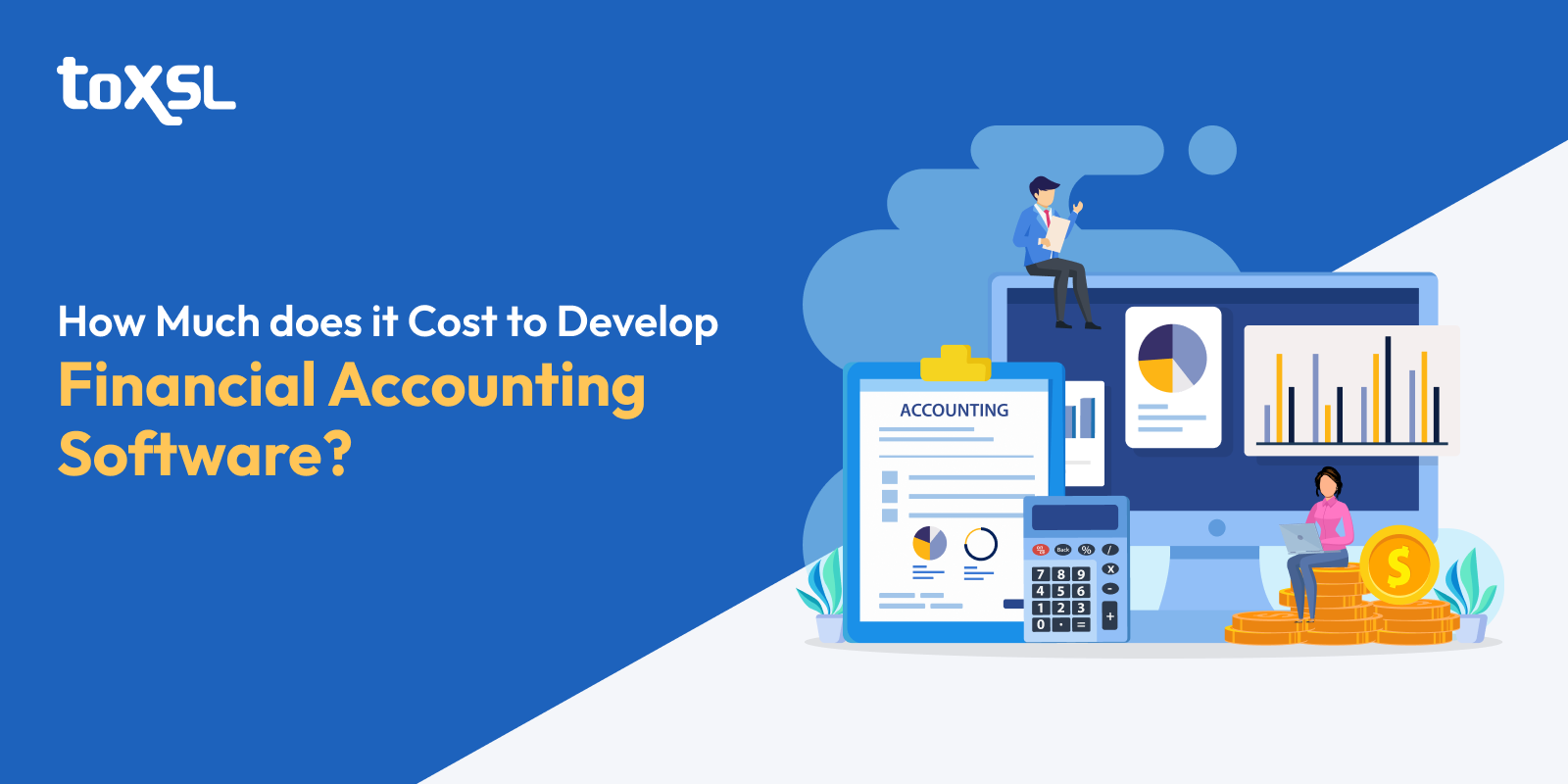 How Much Does It Cost To Develop Financial Accounting Software?